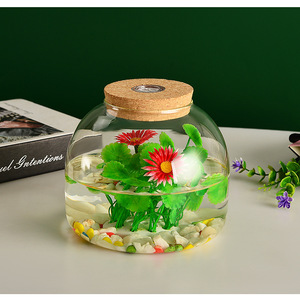 Vase en verre borosilicate transparent <span class=keywords><strong>de</strong></span> 1600 ml, terrarium hydroponique avec lumière LED colorée, <span class=keywords><strong>bouchon</strong></span> en liège pour plantes - Product Image 2