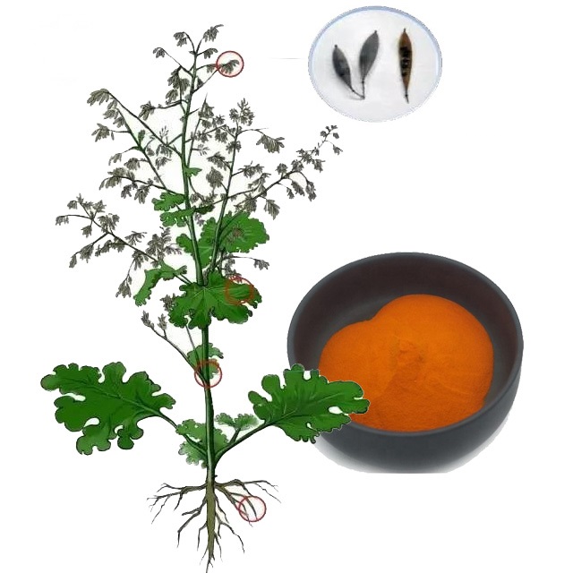 factory supply Macleaya cordata extract sanguinarine 50%-98% powder