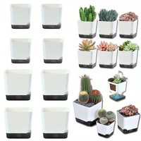 Pot de fleurs auto-arrosant pour plantes succulentes, pot de fleurs d'intérieur et d'extérieur avec trou de drainage, soucoupe transparente, réservoir, moderne et décoratif