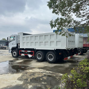 Nuevo Camión Ligero Diésel para Minería 6x4, Volquete de <span class=keywords><strong>20</strong></span> Toneladas, Volante a la Izquierda, Euro 3, <span class=keywords><strong>150</strong></span>-250HP, Transmisión Manual de 8 Velocidades, Aire Acondicionado, Cámara Trasera para - Product Image 6