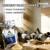 Poudre de levure de bière de qualité alimentaire riche en acides aminés vitamines conservateurs enzymes pour le bétail et la volaille