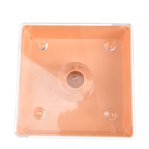 Nuevo Equipo de Apicultura, Herramientas de Plástico para Colmenas, Alimentador Superior de Abejas Estilo Europeo de 1.6L - Product Image 5