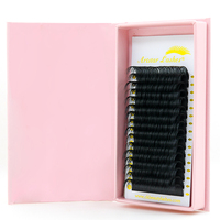 Plateaux de cils de volume russe en gros c d Cc Dd Extensions de cils en cachemire 0.07 Extensions de cils individuels noir mat foncé