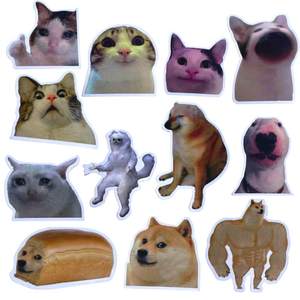 Aimants de réfrigérateur et de voiture les plus vendus, humoristiques, avec des chats et des chiens, des expressions d'emoji et des citations de Jésus, ensemble de mots amusants, transfrontalier - Product Image 5