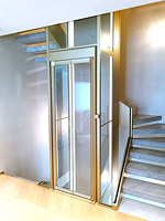 Ascenseur domestique pour villa, hydraulique/à vis, 2 personnes, économique pour usage personnel