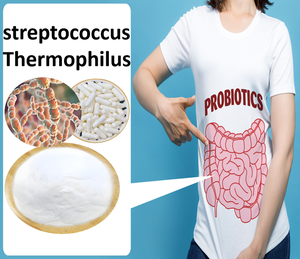 Mejor precio bacterias Lactobacillus Heiveticu hombres probióticos Streptococcus Thermophilus polvo - Product Image 3
