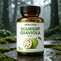 Capsules de Graviola (Corossol) – Complément Alimentaire Herbal Antioxydant pour le Bien-être Quotidien – 60 Capsules – Vente en Gros OEM/ODM