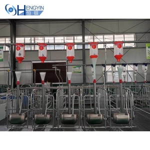 En iyi satış dayanıklı domuz tarım kafes genel galvanizli domuz gestation kafes - Product Image 5