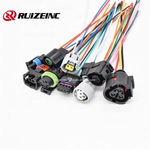 <span class=keywords><strong>2</strong></span>针<span class=keywords><strong>2</strong></span>.<span class=keywords><strong>2</strong></span>毫米7283-7021-10 90980-10901母防水汽车连接器，带<span class=keywords><strong>2</strong></span>针18AW 15CM线束，用于 - Product Image 1