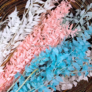 Nueva Llegada de Hojas Preservadas de Color Naranja, Flores Secas de Larga Duración, Planta Decorativa para Decoración de Bodas y San Valentín - Product Image 5