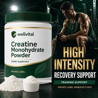 Créatine monohydrate en poudre pour la récupération musculaire, soutien à l'entraînement intensif, fabriquée par le fabricant