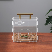 Boîte d'élevage rectangulaire transparente en acrylique magnétique OEM pour insectes, crabes ermites et reptiles