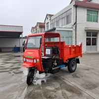 Kompakter 3000kg Diesel-Kipper mit 35PS Leistungsstarkem Motor und Anpassbarer Ladebox für Baustellen-Sandtransport