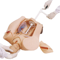 Modelo de entrenamiento de habilidades de trabajo Manual avanzado, entrenamiento de parto con bebé para enseñanza ginecológica