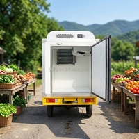 Unité de réfrigération à large plage de refroidissement, machine de stockage frigorifique mobile pour gros camions de fret, conteneurs et distribution de produits surgelés