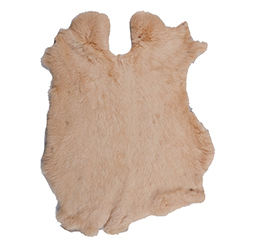 Beige chameau