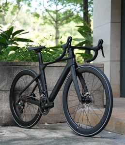 Bicicleta de Carreras de Carbono R10pro-disc Superligera de 22 Velocidades con Ruedas de Disco 50h, R10pro-disc (Deportiva), Rs-22s, Ruedas de Carbono 50h y Freno - Product Image 1