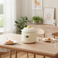 Sorge 2026 Mijoteuse Électrique Programmable avec Minuteur Numérique, Couvercle en Céramique, Pot Extérieur en Plastique Antiadhésif 1,2 L pour Usage Domestique