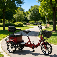 Tricycle Électrique Pliable Personnalisé pour Personnes Âgées, Double Siège Ouvert, Moteur 400W, Batterie Lithium, Assistance à la Pédale, Léger - Offre Spéciale