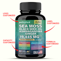Capsules de Mousse de Mer en Gros, Supplément Shilajit et Crinière de Lion, Marque Privée pour la Santé Intestinale et Immunitaire