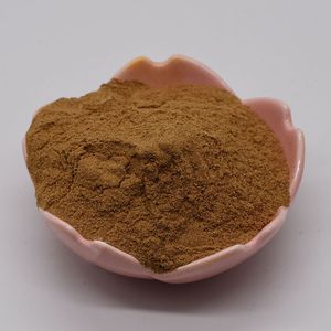 Venta al por mayor Extracto de hierbas Rheum Palmatum Raíz en polvo 10:1 Polvo de extracto de ruibarbo chino - Product Image 3