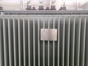 Transformateur de distribution de puissance triphasé immergé dans l'huile, monté sur poteau, 100 kVA, 10 kV/0,4 kV, pour poteau d'énergie - Product Image 4