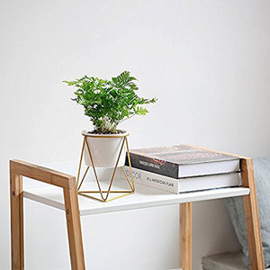 <span class=keywords><strong>Support</strong></span> de pot de plante moderne de haute qualité <span class=keywords><strong>support</strong></span> de <span class=keywords><strong>fleur</strong></span> d'intérieur en fil métallique avec fonction de roulement pour le type d'emballage de bureau ou de sol - Product Image 4
