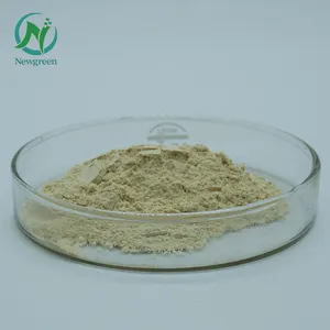 Newgreen Top Quality Natural Soybean Extract Powder 40% Soy Isoflavone