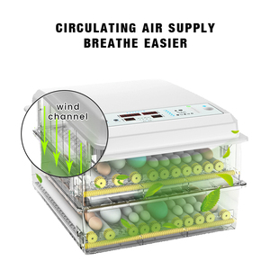 New Mini Lồng Ấp Gà Trang Trại 64 Trứng Lồng Ấp Cho Bán Gà Mini Lồng Ấp Nhà - Product Image 3