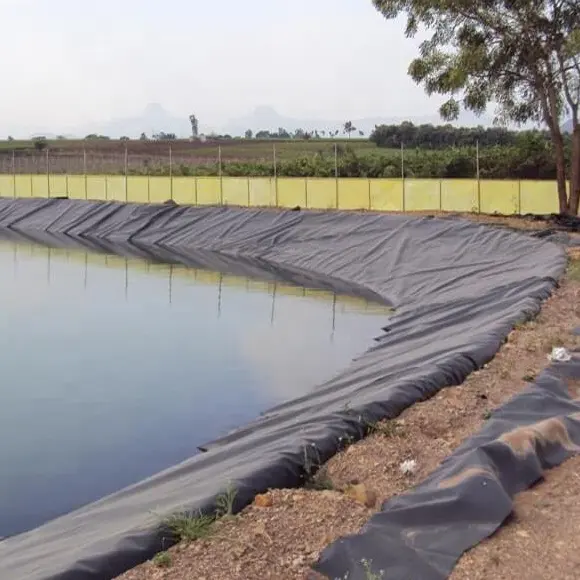 सबसे अच्छा गुणवत्ता बड़े आकार एचडीपीई Geomembrane तालाब लाइनर 0 2mm-3 0mm मोटी बांध लाइनर सुरंग विरोधी टपका प्लास्टिक प्लेटें