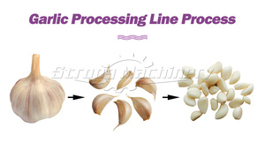 สายการผลิตเครื่องปอกกระเทียมอุตสาหกรรมพร้อมสายพานลำเลียง - Product Image 5