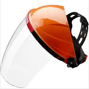 2020 Transparent Plastic Protective Motorcycle Fashion Face Shield