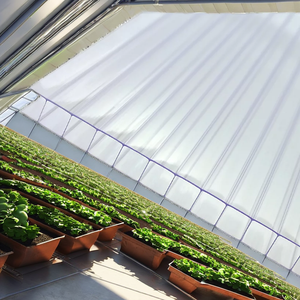 Multiwall <span class=keywords><strong>Polycarbonate</strong></span> 14 Tấm 4mm 6mm 8mm đôi tường uv-proof tấm cho nhà kính hiện đại tấm mặt trời & PC tấm dập nổi - Product Image 2