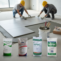 Hydroxypropylméthylcellulose HPMC 100k Cps pour colle à papier peint et adhésif pour papier peint, cellulose à haute viscosité