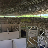 Conception et construction d'élevages porcins SMART FARM - Solutions personnalisées pour des installations porcaines à grande échelle avec technologie intelligente