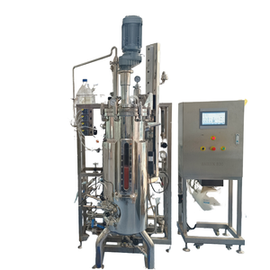 EU Padrão 100L Aço Inoxidável Mecanicamente Agitando Bioreactor BLBIO 100SJA Fermentação Biológica Equipamento tanque - Product Image 1