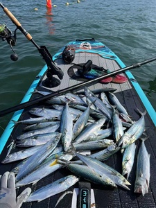 แพดเดิลบอร์ดเป่าลมขนาด 10'6"*35"*6" รุ่น Extra Wide สำหรับเล่นเซิร์ฟ MY07/4  แบบ Ultra Stable Wide SUP สำหรับ 2+1 คน - Product Image 4