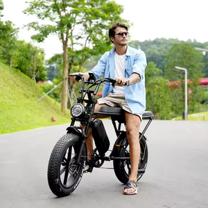 Bicicleta Eléctrica desde Almacén en UE NL DE <span class=keywords><strong>PL</strong></span>, Bicicleta Eléctrica Fat Bike con Stock en la UE Lista para Enviar 1000W 48V 15Ah, E-bike con Velocidad Máxima de 50km/h - Product Image 1