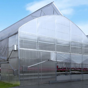 Serre à toit dentelé avec système de ventilation naturelle – Fournisseur de solutions de serres ventilées - Product Image 3