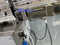Machine de remplissage et de conditionnement à double tête pour poudre de café instantané, poudres de piment épicées, sel et poivre, avec fonction de pesage