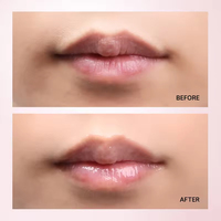 Sérum repulpant pour les lèvres bio vegan personnalisé en gros, hydratant, huile à lèvres rose, base de cosmétiques à étiquette privée
