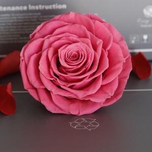 Regalo personalizado de fábrica, artesanía DIY, cabeza de Rosa conservada, flores decorativas de tacto Real de 9-10cm para el hogar, <span class=keywords><strong>boda</strong></span> decorativa - Product Image 1