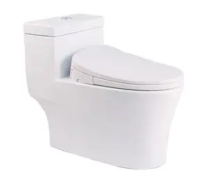 E2101 Duroplast Cover Télécommande Smart Toilette Bidet Toilette Automatique