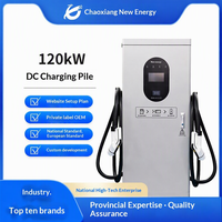 Station de recharge pour véhicules électriques 120 kW DC, chargeur rapide double pistolet, GBT 18487.1-2015, montage au sol, gris argenté