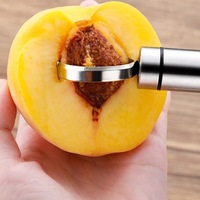 Roestvrijstalen draagbare fruitpitverwijderaar, mes voor perziken en ingeblikt fruit, voor het verwijderen van pitjes - voedselveilig, vaatwasserbestendig