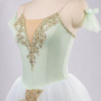 Jupe tutu de ballet pour adultes, costume de performance professionnel, robe de ballerine sans manches en polyester et tulle pour femmes, robe de danse de scène, coupe trapèze