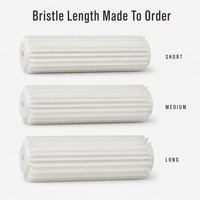 Rouleau de brosse à poils en nylon industriel BR-N50, diamètre extérieur 50 mm, noyau en aluminium, poils en PA66 blancs, rouleau de nettoyage pour éliminer la poussière