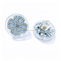 Lumières de cabochon LED automatiques RGBW AC24V 65mm IP65 E14 pour parcs d'attractions, manèges et fêtes foraines