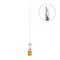 Aiguilles rachidiennes vétérinaires 22g 25g, aiguille rachidienne à pointe crayon avec introducteur