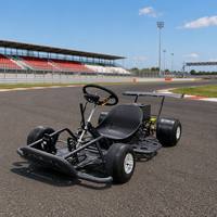 Kart eléctrico comercial para adultos, de alta velocidad, para carreras de drifting en pistas interiores, parques de atracciones y entretenimiento.